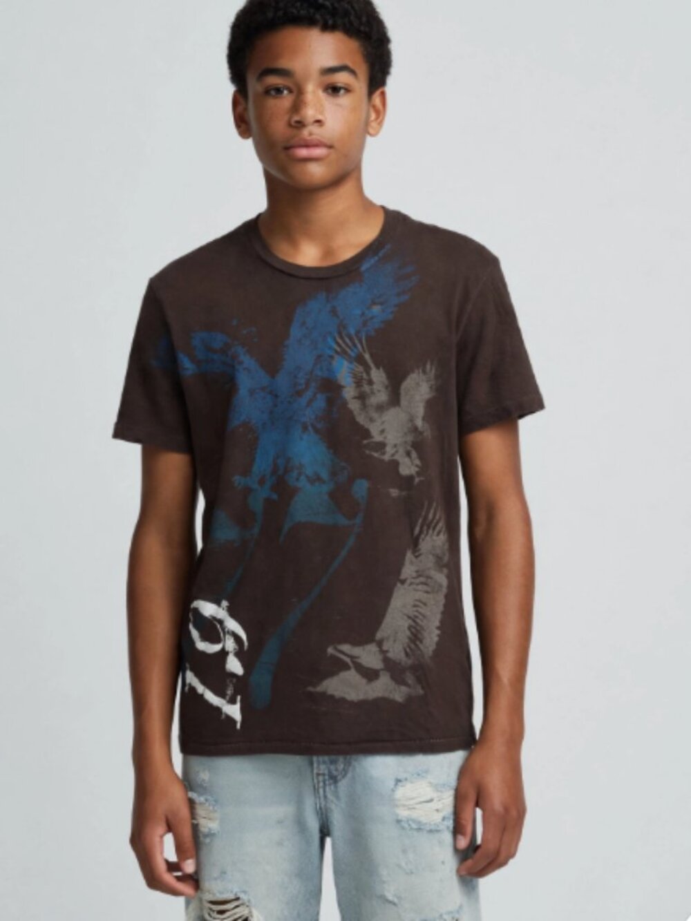 American Eagle Outfitters Eagle Graphic T-Shirt Mens XS TP Brown Blue 1977